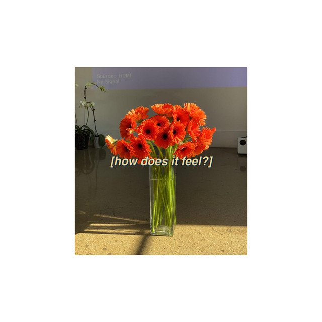 how does it feel? cover art