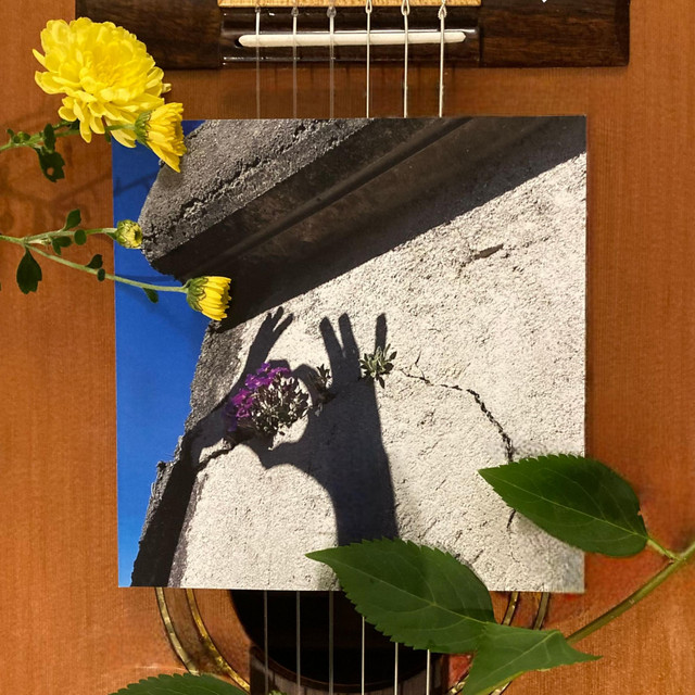 Sunlight Reception cover art