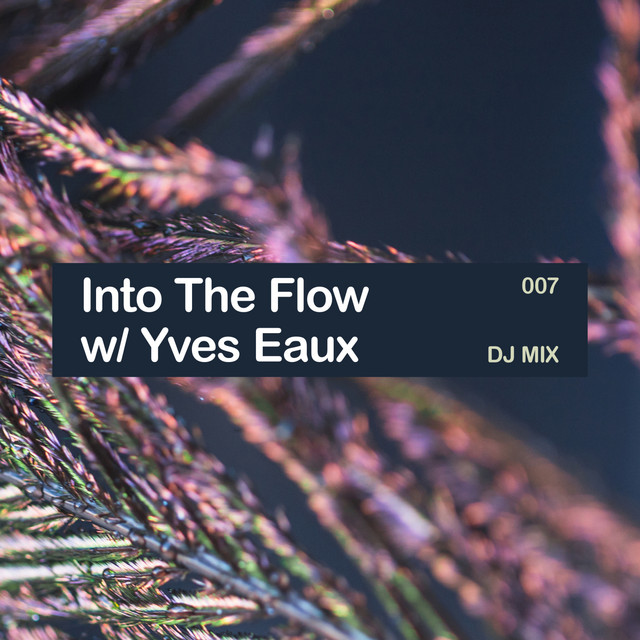 Into The Flow 007 (DJ Mix)