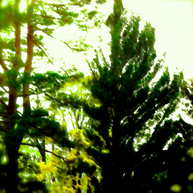 Ambient Jams cover art
