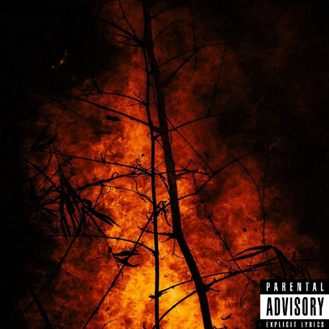 Branden cover art