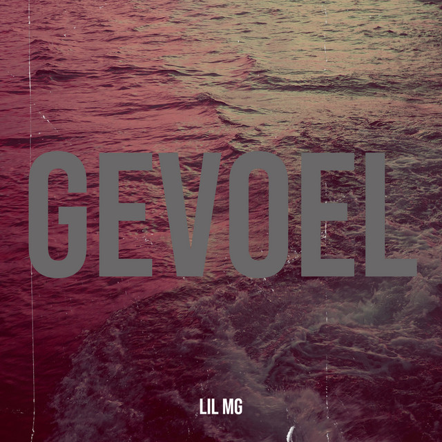 Gevoel