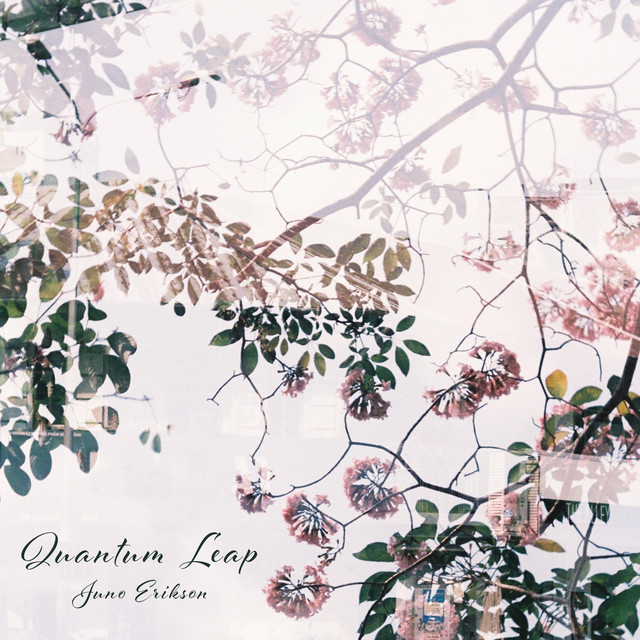 Quantum Leap cover art