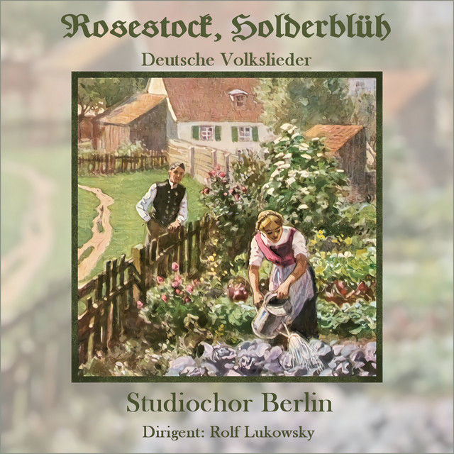 Rosestock, Holderblüh