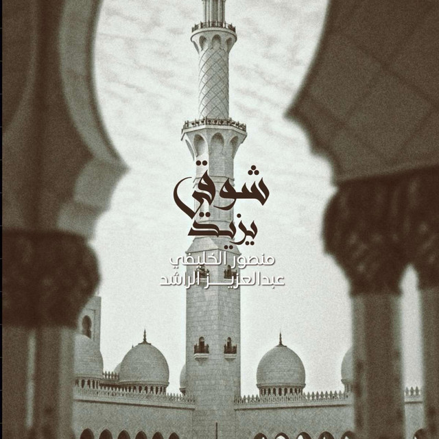 دويتو شوقي يزيد cover art