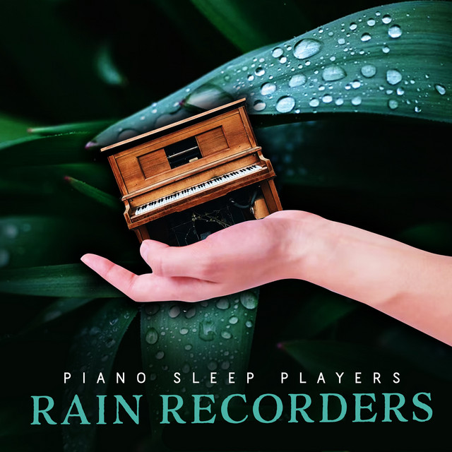 Large Winter - song and lyrics by Recorder Rain | Spotify