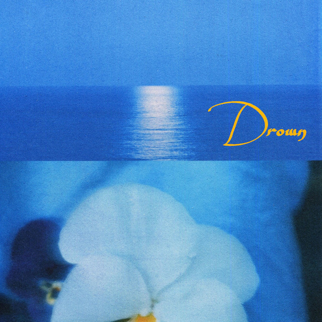 Drown cover art