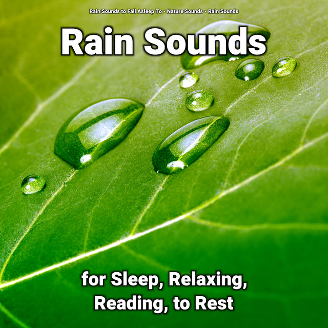 Rain Sounds for Sleep, Relaxing, Reading, to Rest cover art