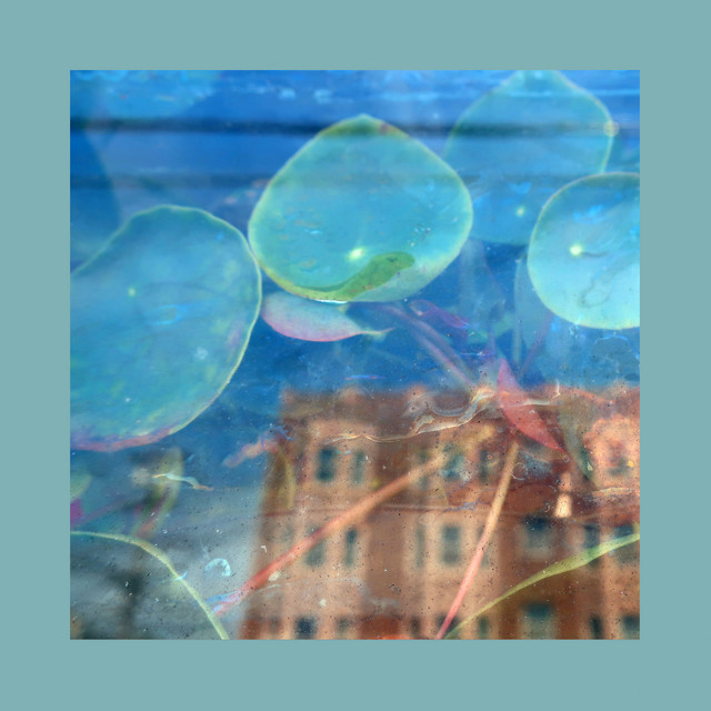 undefined album image