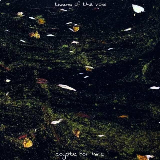 Twang Of The Void cover art