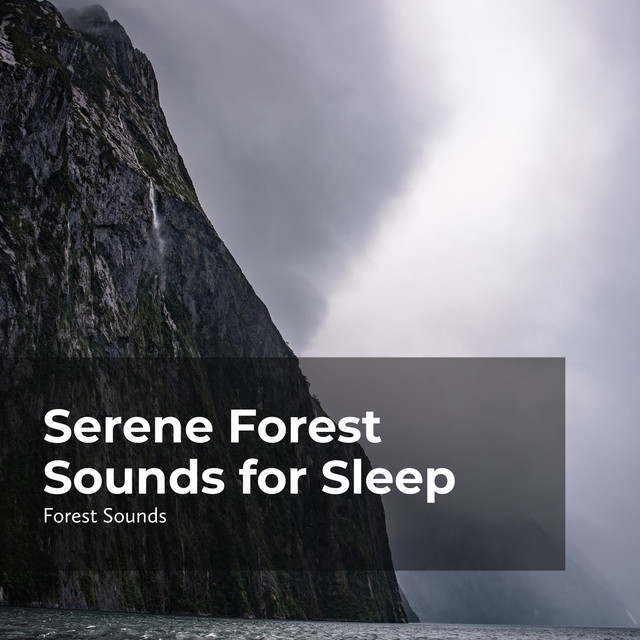 Serene Forest Sounds for Sleep - Album by Forest Sounds | Spotify