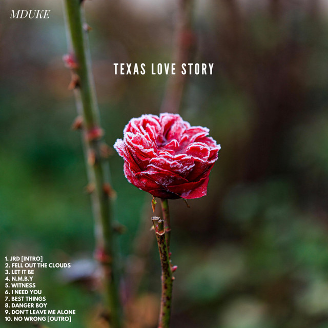 Texas Love Story cover art