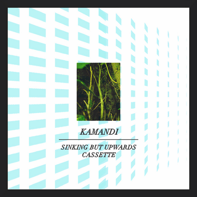 Sinking but Upwards Cassette cover art