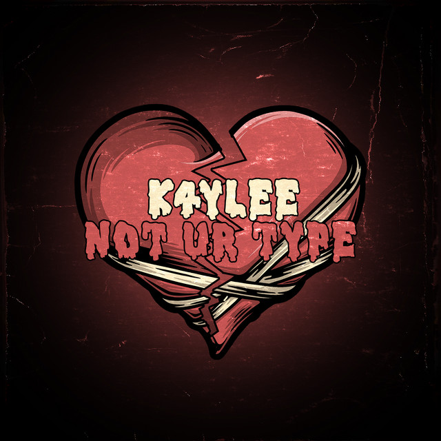 NOT UR TYPE cover art