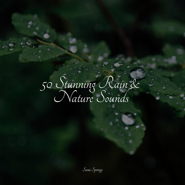 50 Stunning Rain & Nature Sounds - Album by Deep Sleep FX | Spotify