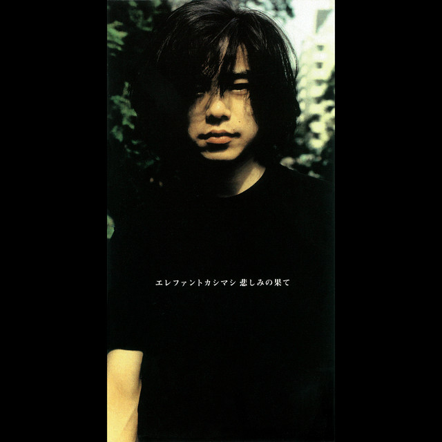 Cover of Kanashimi no Hate by Elephant Kashimashi
