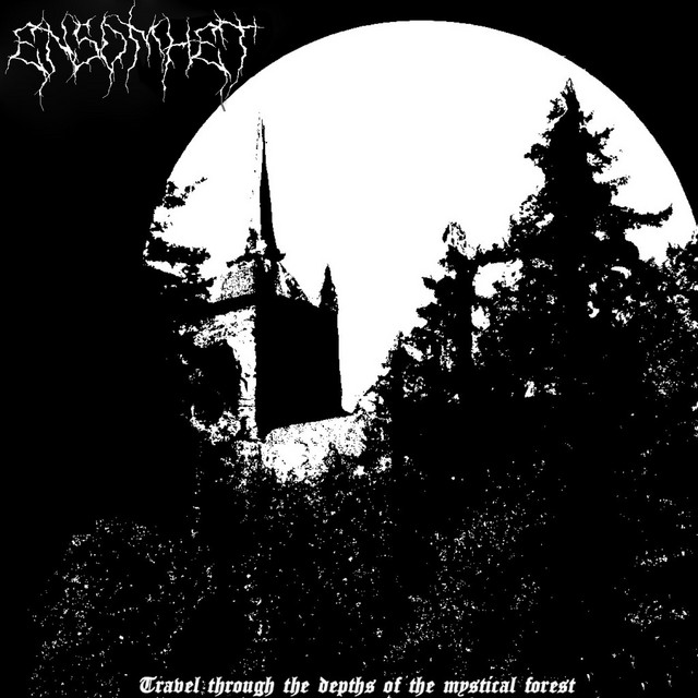 Travel Through The Depths of The Mystical Forest cover art