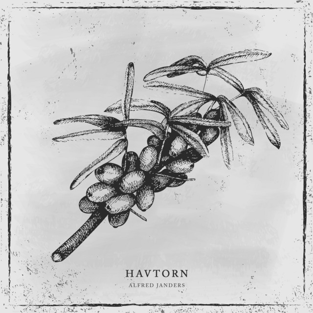 Havtorn cover