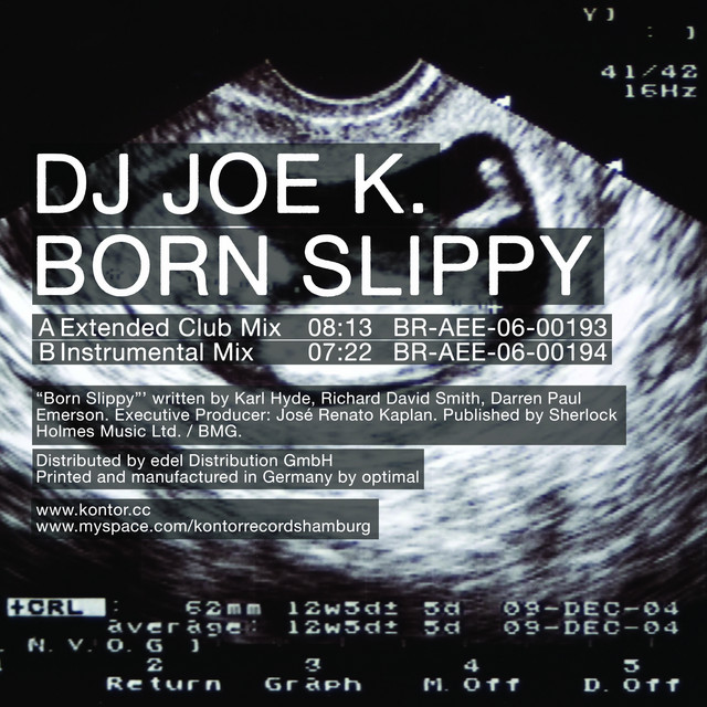 Born Slippy - Single by DJ Joe K. | Spotify