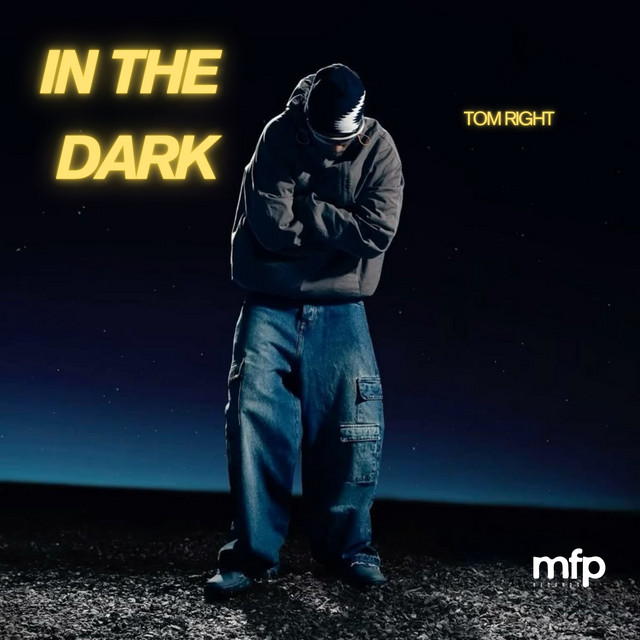 In The Dark cover art