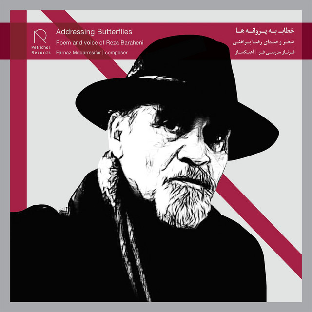 Addressing Butterflies cover art