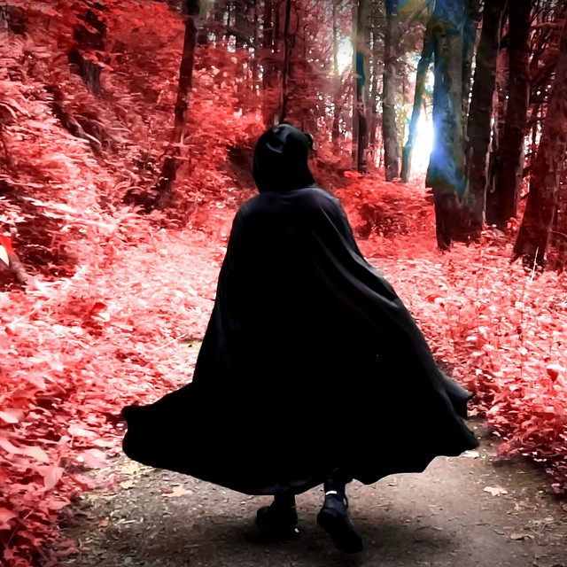 Crimson Forest 9.1