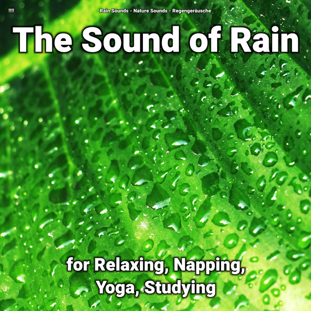 !!!! The Sound of Rain for Relaxing, Napping, Yoga, Studying cover art