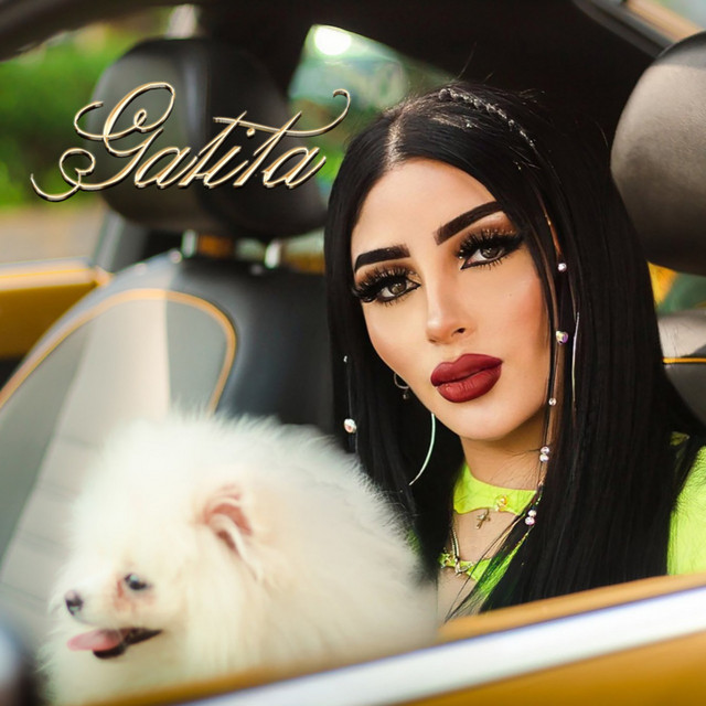 Gatita cover art