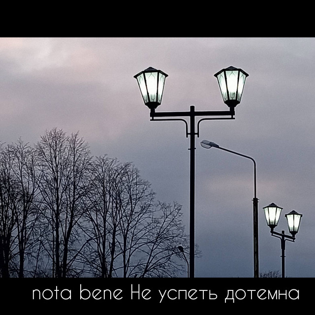 Не успеть дотемна cover art