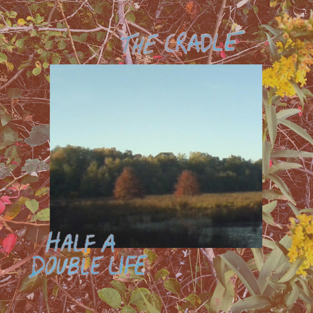 Half a Double Life cover art
