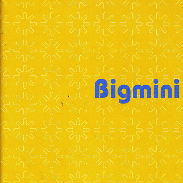 Bigmini