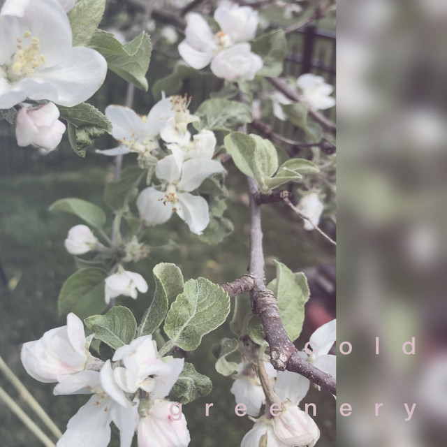 cold cover art