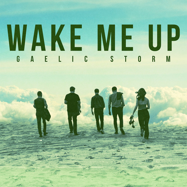 Wake Me Up album image