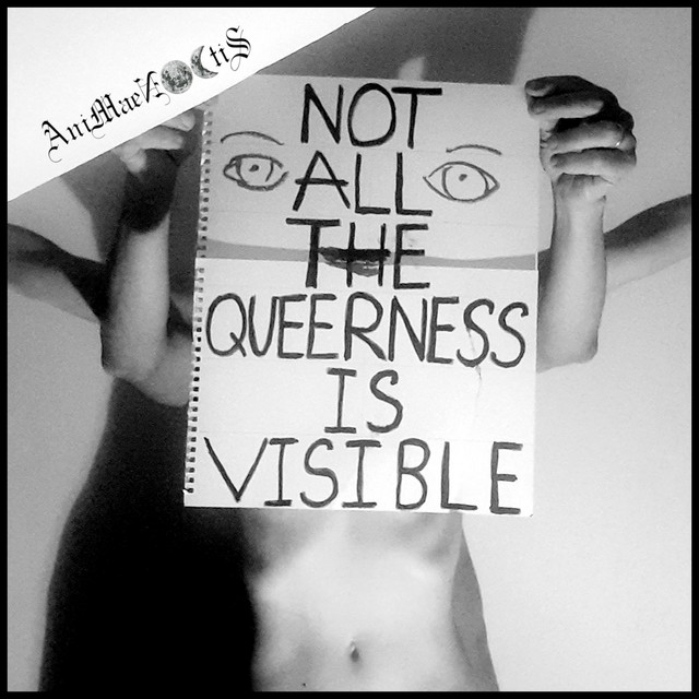 Not All The Queerness Is Visible cover
