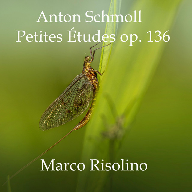 Petites Études op. 136 no. 1-11 cover art