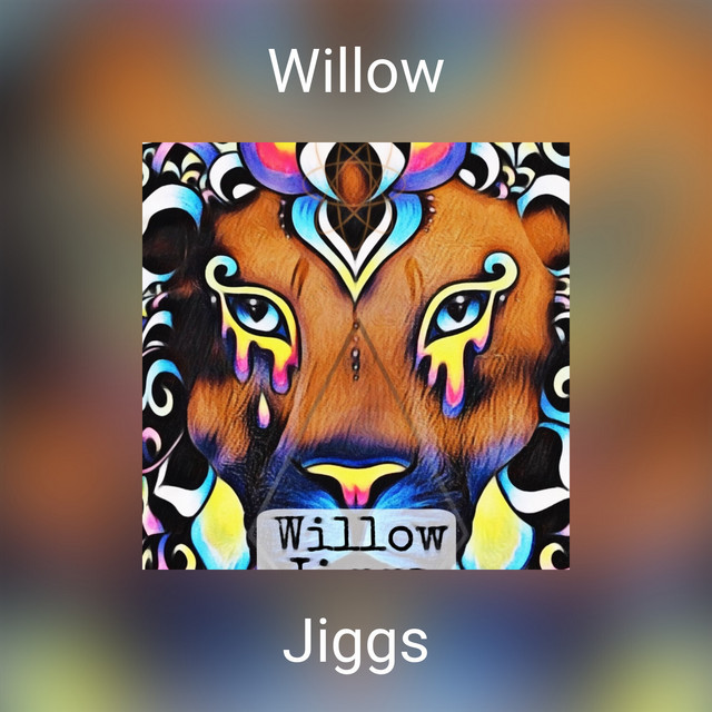 Willow cover art
