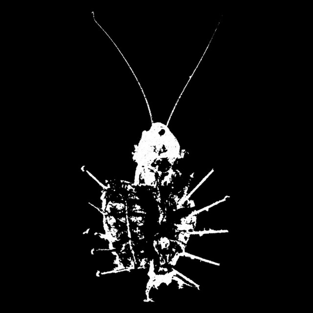 Life Is a Disease cover art