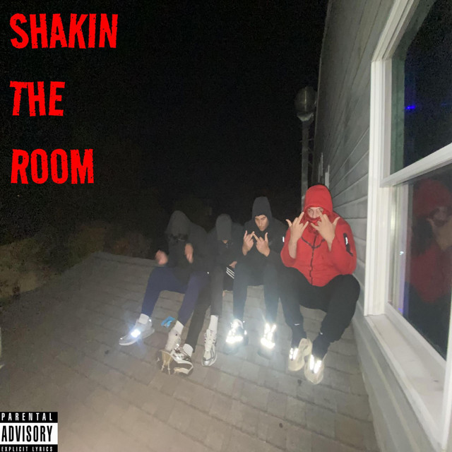 Shakin The Room cover art