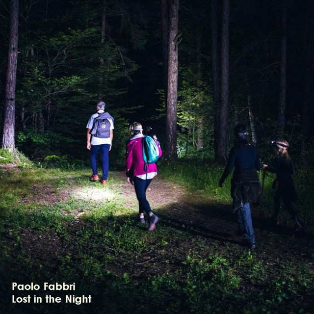 Lost in the Night album art