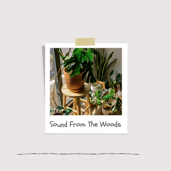 SFTW cover art