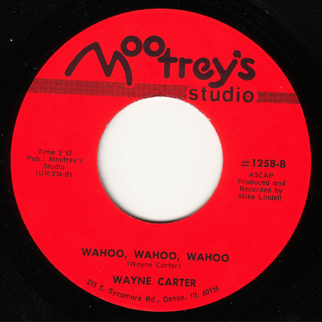 Wahoo Wahoo Wahoo (Mr Scruff Edit) - Single cover