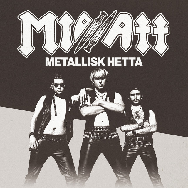 Metallisk hetta cover