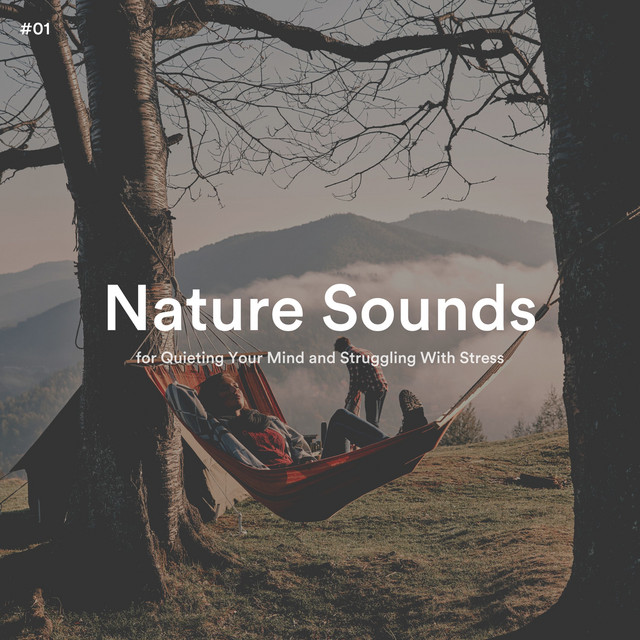 #01 Nature Sounds for Quieting Your Mind and Struggling With Stress ...