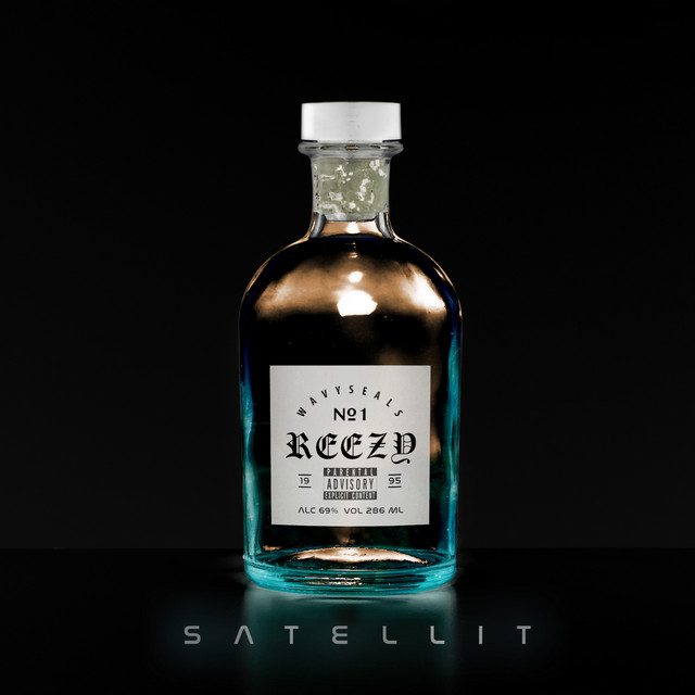 Satellit cover art