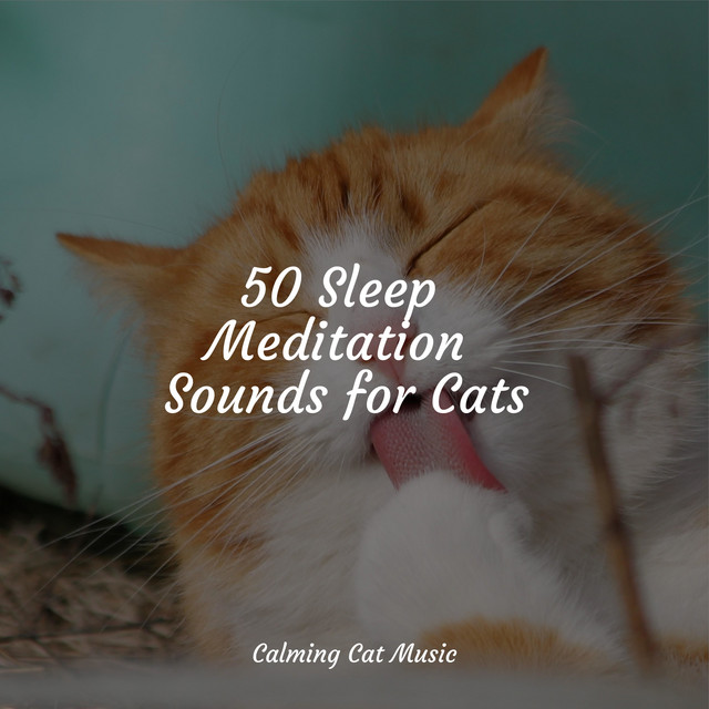 50 Sleep Meditation Sounds for Cats - Album by Music for Resting Cats ...
