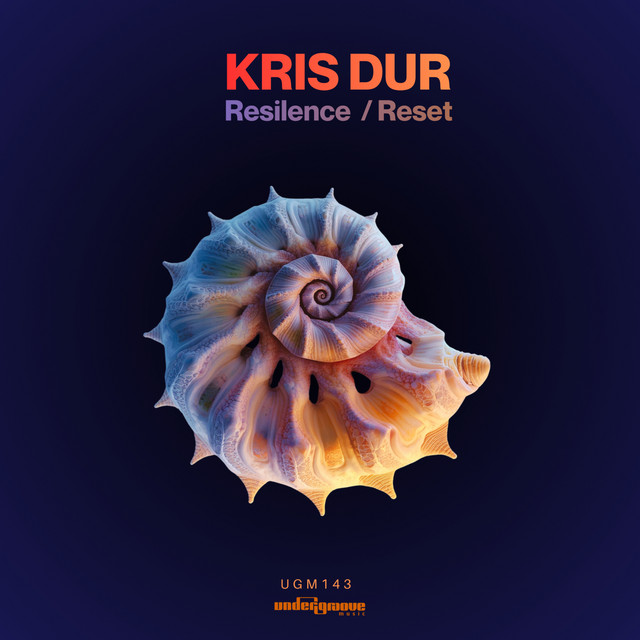 Обкладинка Kris Dur — Resilence / Reset