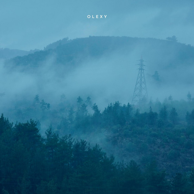 Обкладинка: Rain in the Forest — Lesfm