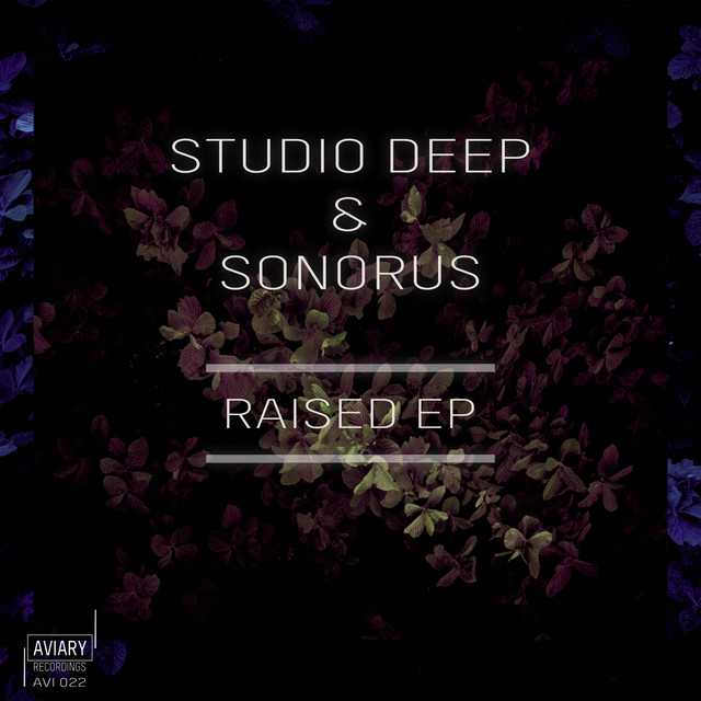 Raised album art