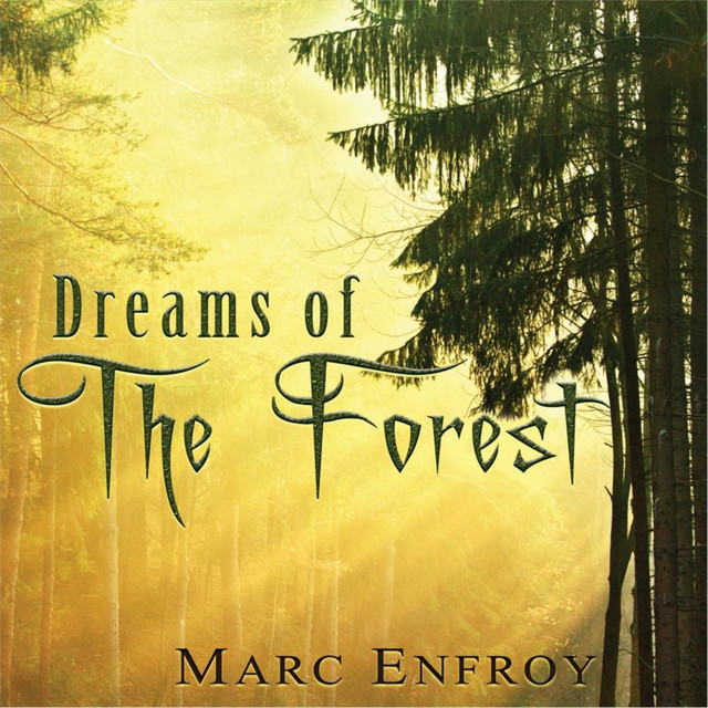 Dreams of the Forest cover