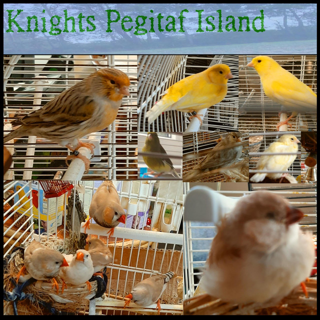 Pegitaf Island cover art